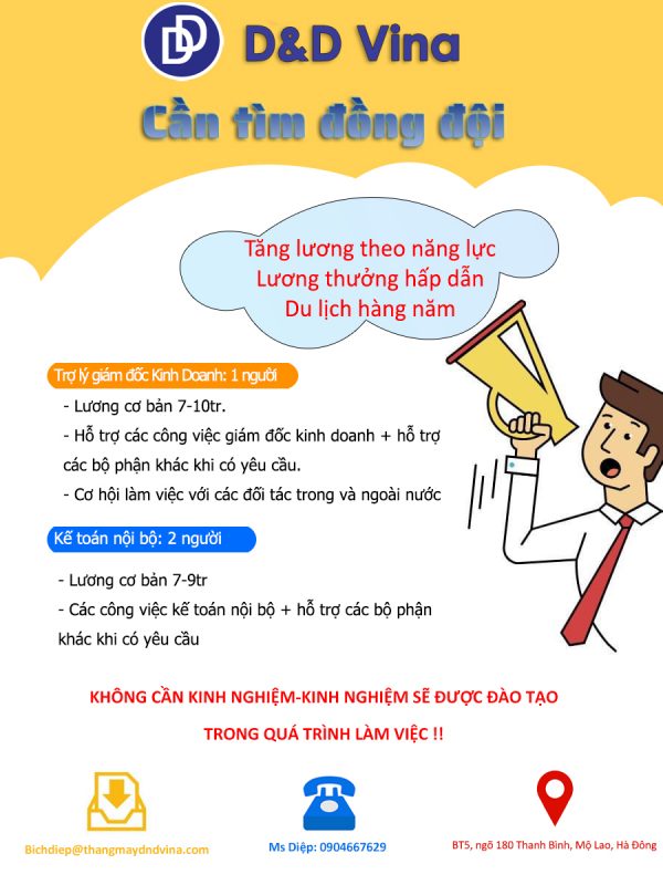 d-&-d-vina-tuyen-dung
